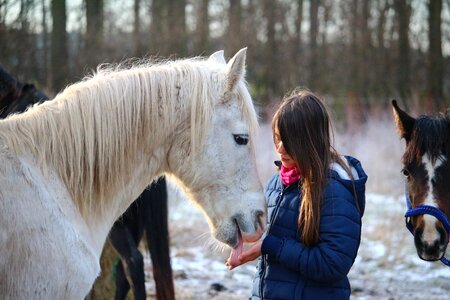 Mane girl friendship