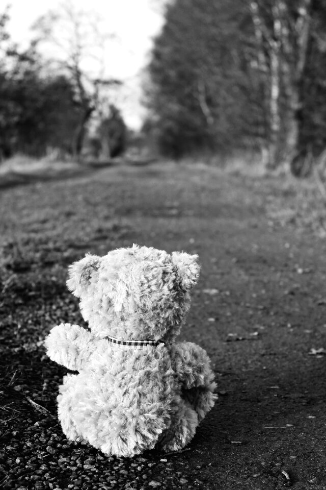 Soft toy bears stuffed animal