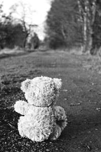 Soft toy bears stuffed animal