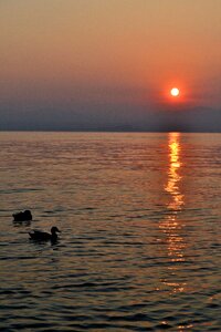 Sunset vacations lake