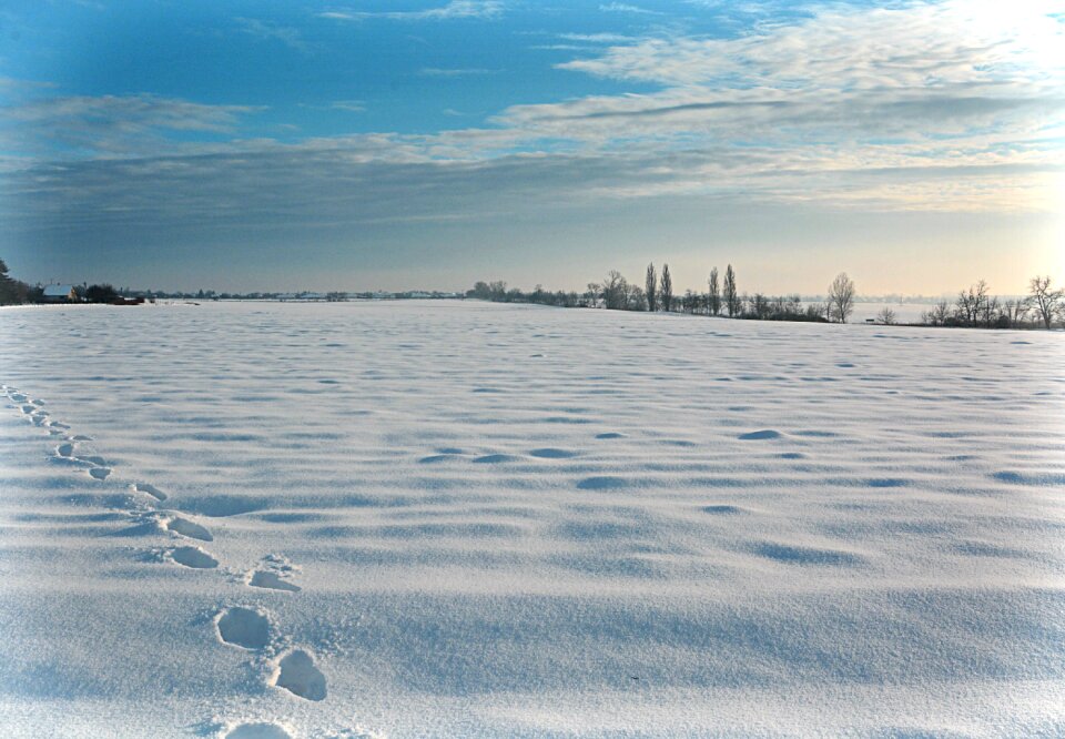 Winter snowy landscape nature