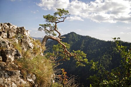 Dunajec tops mountains photo