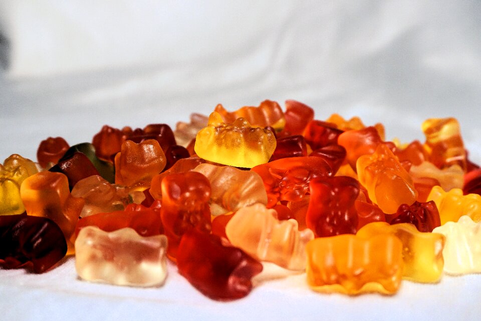 Gummi bears gelatin nibble