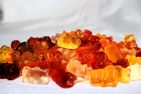 Gummi bears gelatin nibble