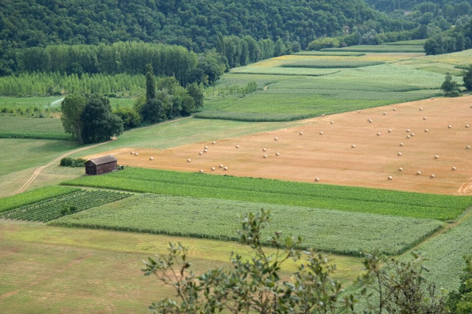 Nature provence agriculture