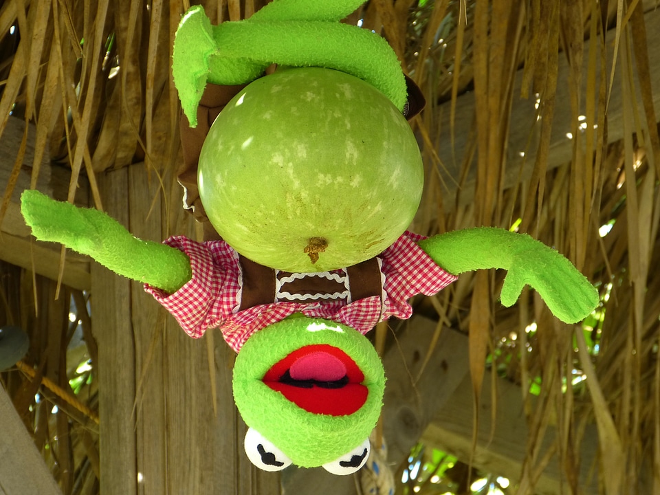 Pumpkin green depend