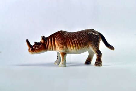 Fauna wild one