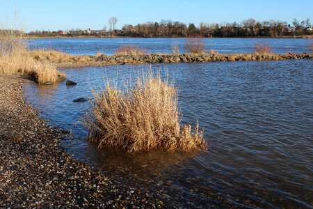 Bank nature groyne