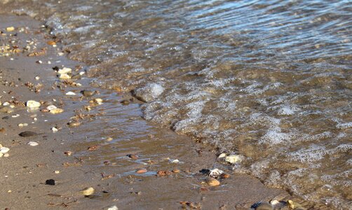 Bank waters river landscape