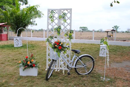Wedding decoration roses