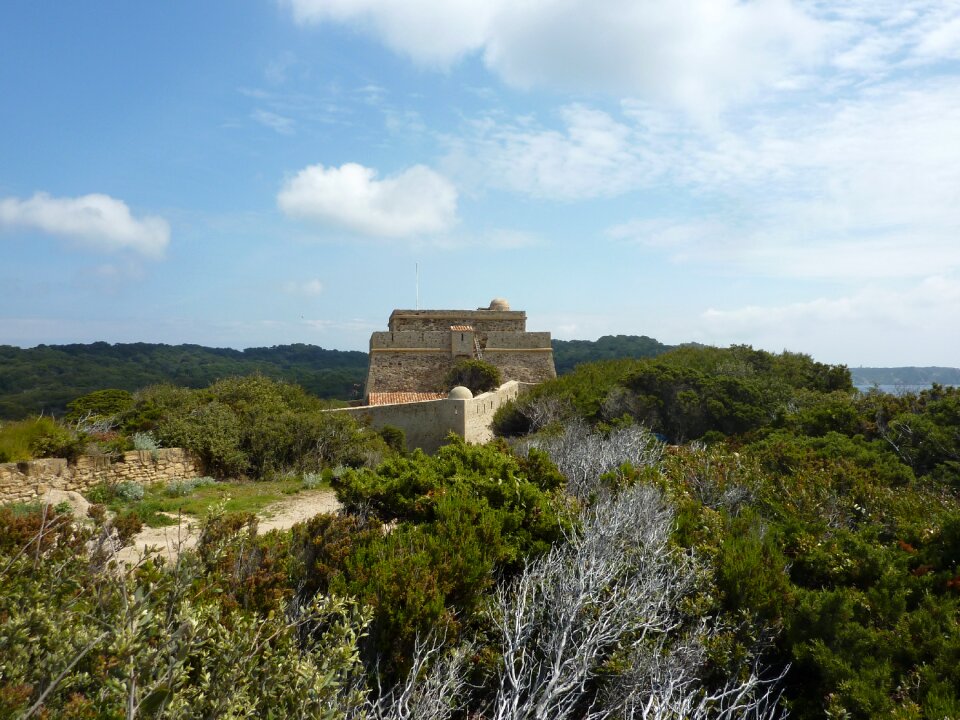 Island mediterranean vegetation nature