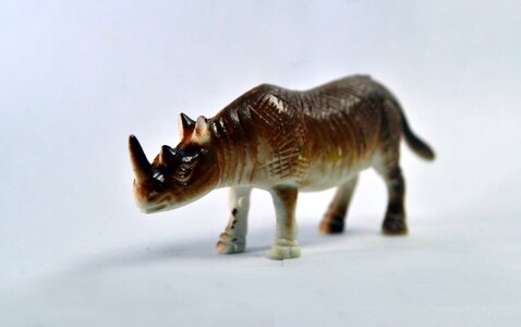 Fauna wild one
