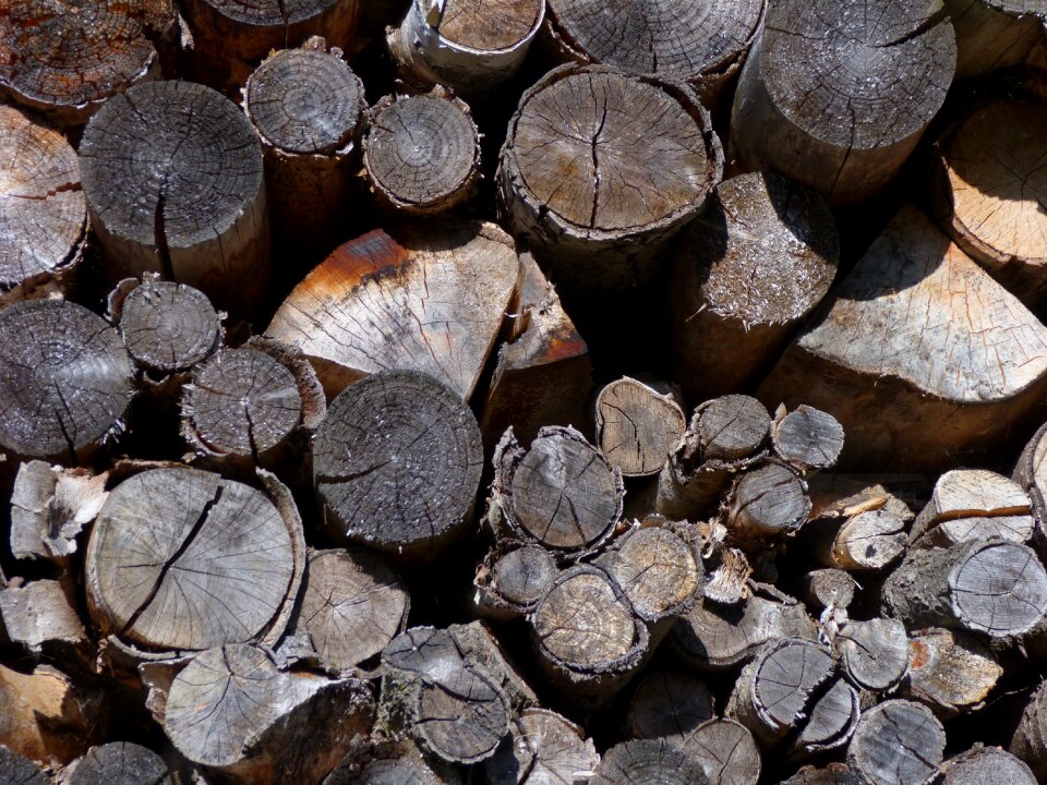 Wood pile structure