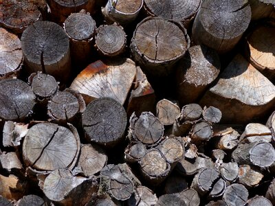 Wood pile structure