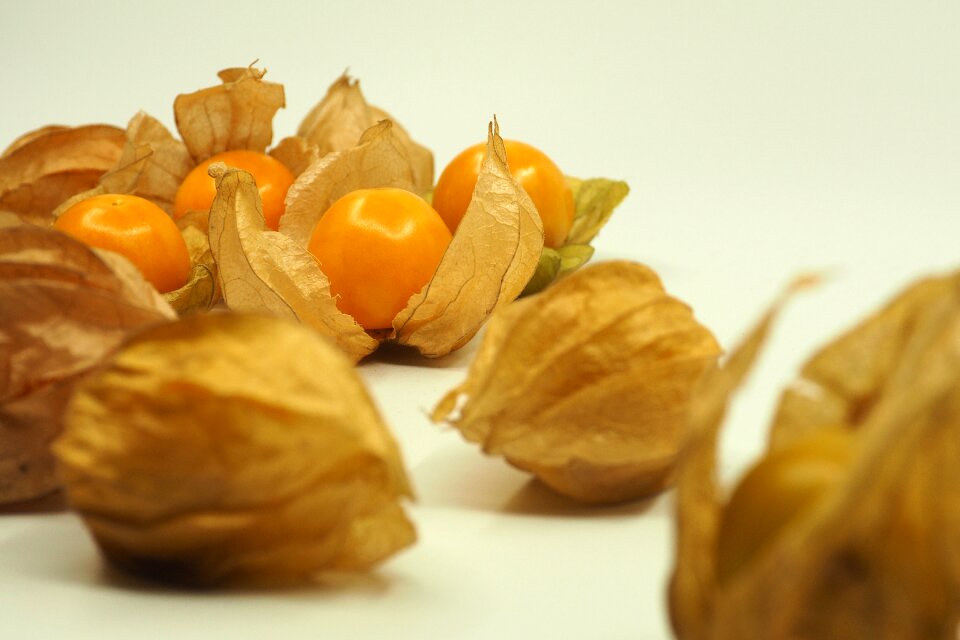 Orange fresh shell