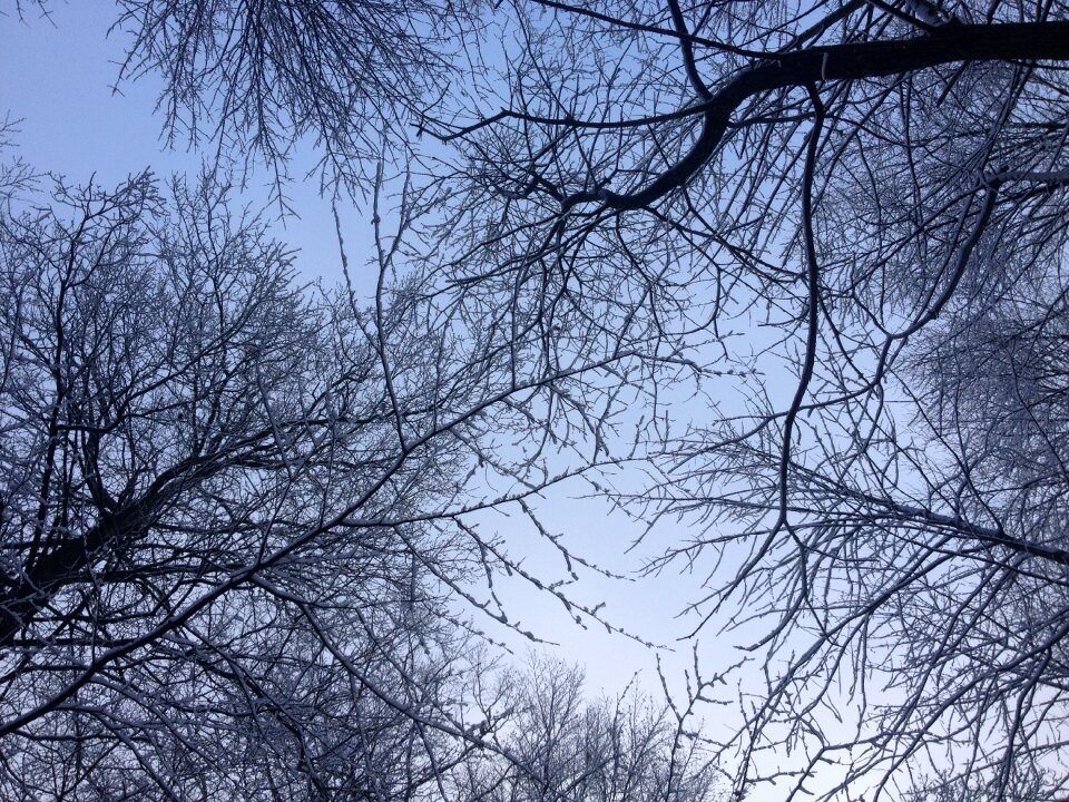 Blue sky weather snow