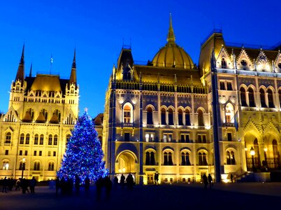 Hungarian parliament building pine wood christmas tree photo