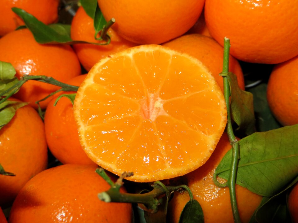 Orange green fruit