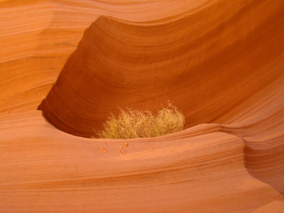 Canyon natural rock