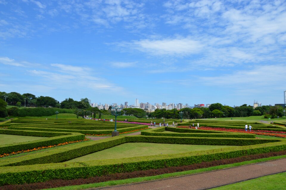 Botanist green curitiba