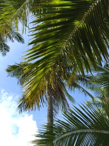 Summer holiday blue sky