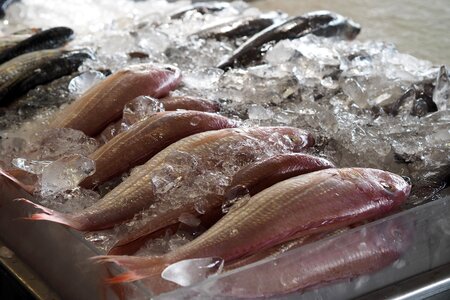 Raw materials cook supermarket