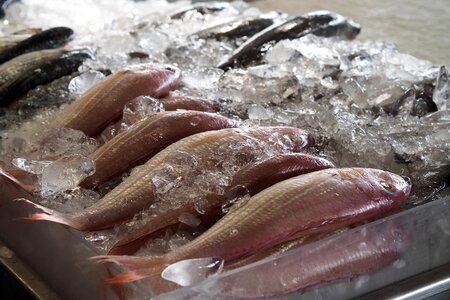 Raw materials cook supermarket photo