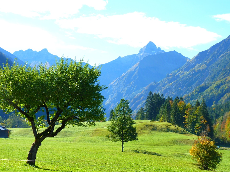 Mountains trees nature