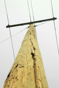Electrical wires line high photo