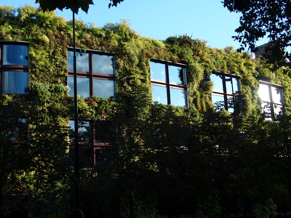 Vegetal wall plants building