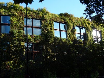 Vegetal wall plants building