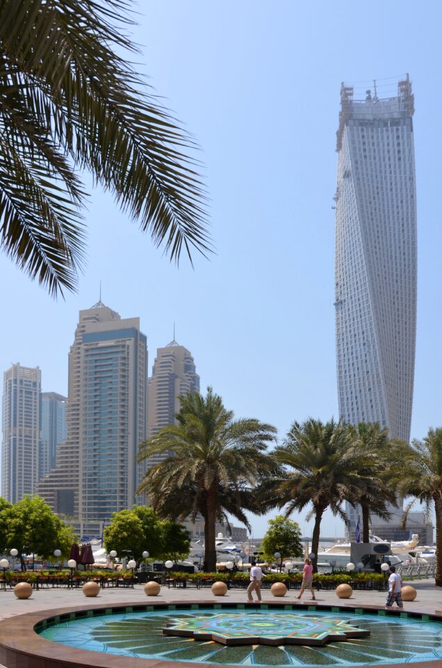 Sun palm trees skyscrapers