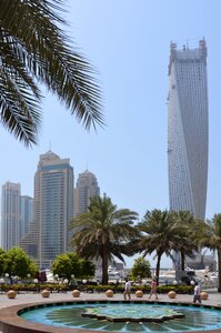 Sun palm trees skyscrapers