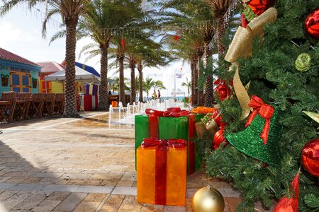 Road palm trees christmas