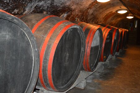 Wine-cellar wine-barrel cellar photo
