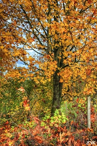 Agriculture outdoors environment