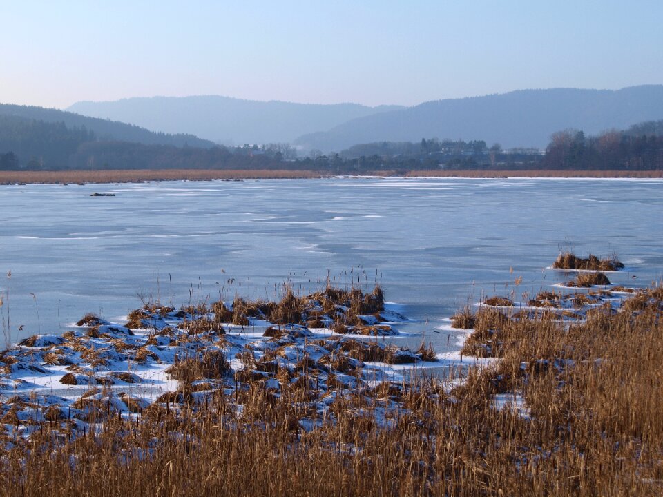 Cold winter dream frost