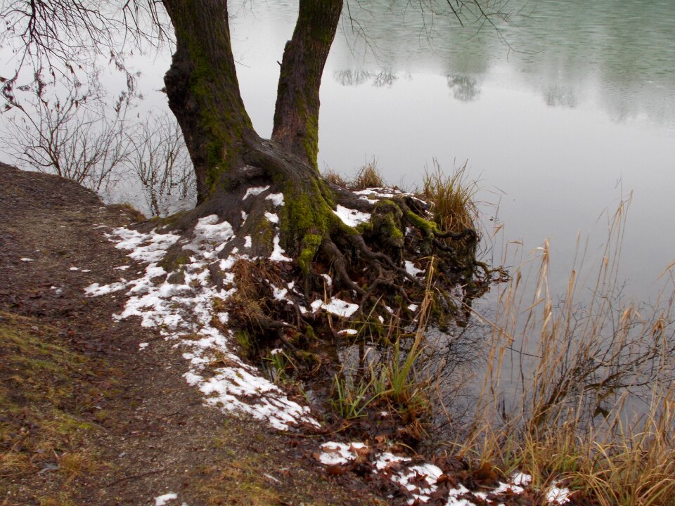Wöhr lake upper bavaria burghausen
