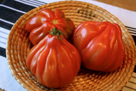 Coeur de boeuf mediterranean italian