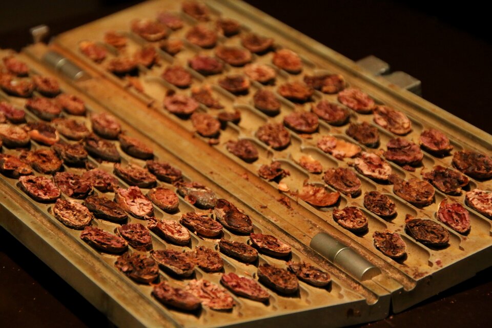 Roast chocolate cocoa beans