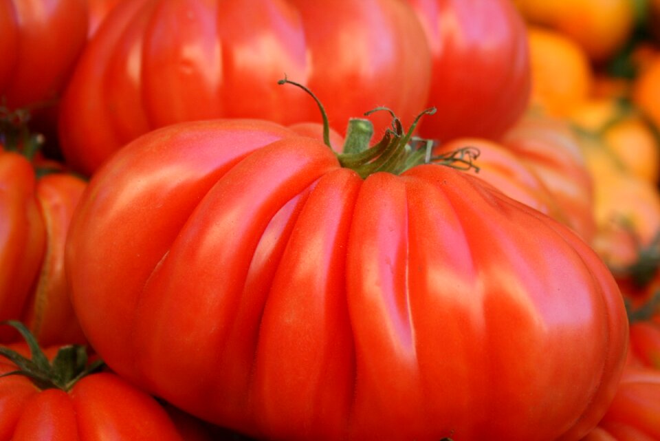Red natural local market