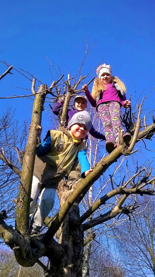 Tree playground child