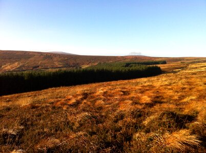 Country landscape
