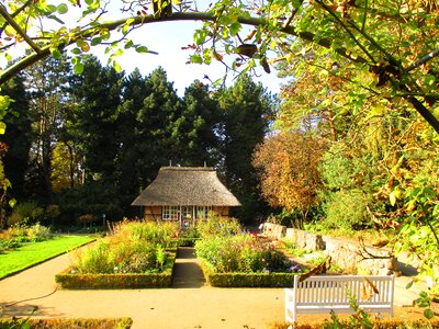 Park botanical garden hamburg photo