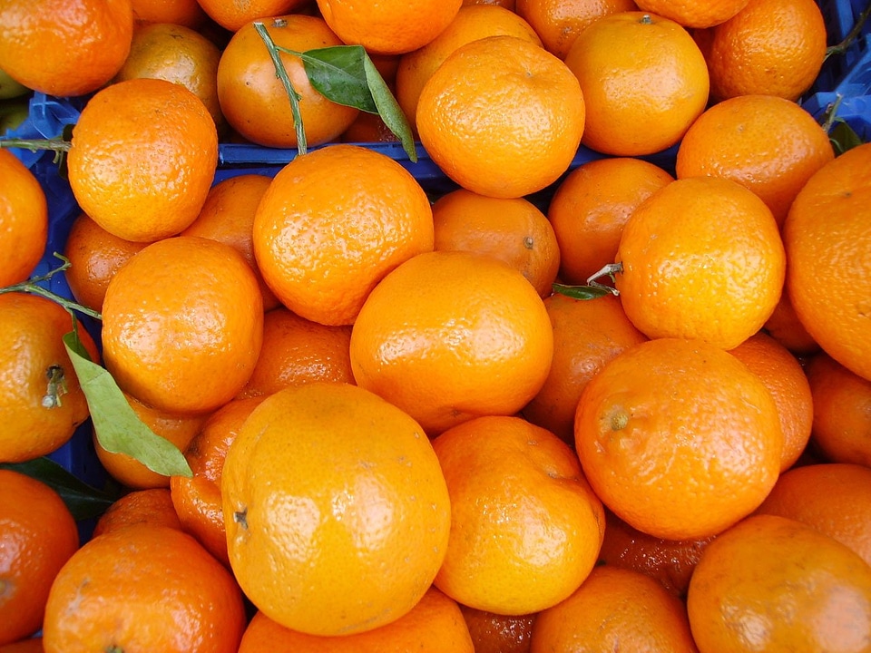 Vitamins citrus fruit fruits