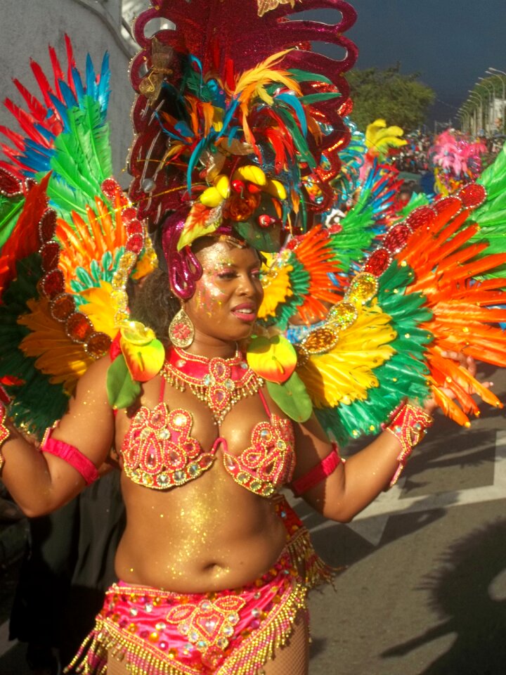 Carnival disguise costume