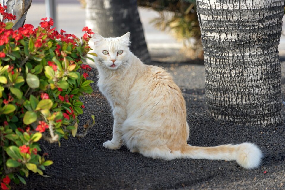 Watch eyes vigilant