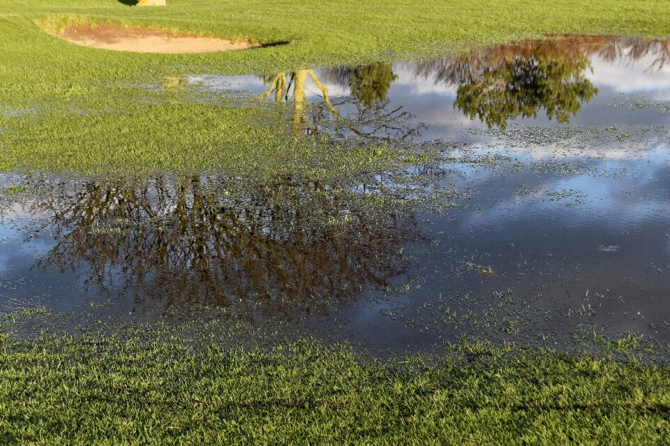 Reflection course landscape