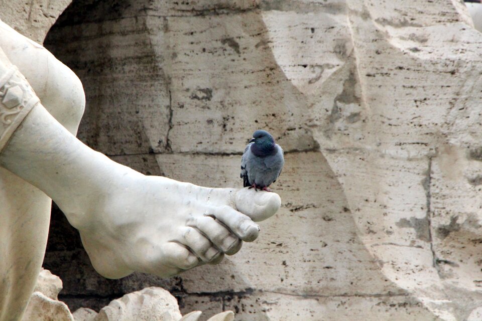 Sculpture tourism rome