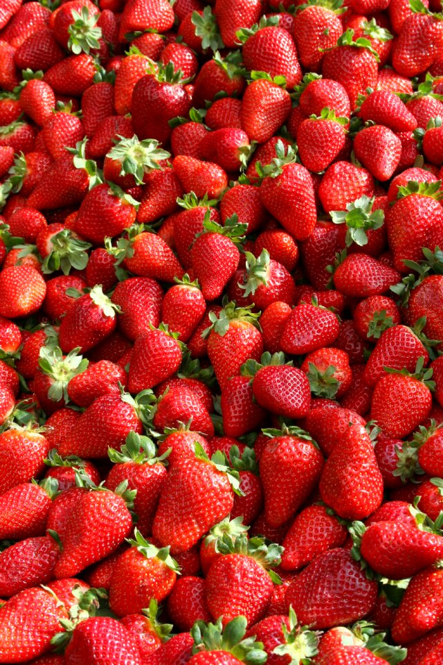 Food delicious fruit
